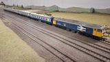 Calum M. review photo