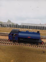 Grahame E. review photo