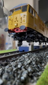 Steven M. review photo