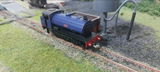 THOMAS V. review photo