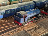 Ian D. review photo