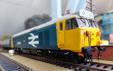 Daniel M. review photo