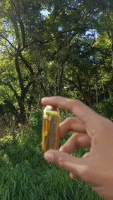Anonymous review photo
