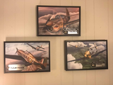 JAL review photo