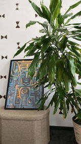 Rima review photo