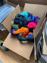 Janis P. review photo
