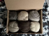 Denise S. review photo