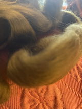 Lucille T. review photo