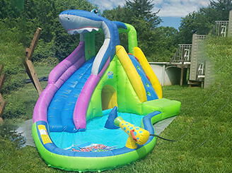 Action Air Shark Inflatable Water Slide with Pool & Cannon