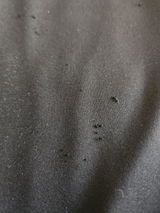 Craig Cawthorne review photo