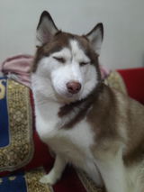 Specsy . review photo
