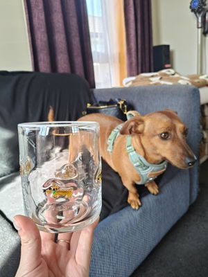Icon Cup - Dachshund
