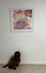 Phoebe review photo