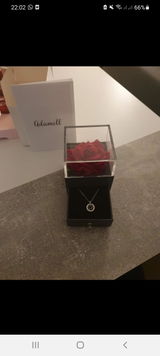 Diana V. review photo