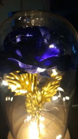 Antek review photo