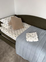 Aristida review photo