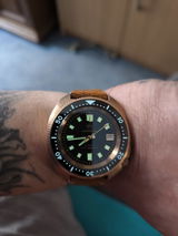 Mario Wilsch review photo