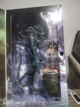 Efrain review photo