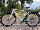 A van Rijn review photo