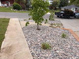 A & E Skid Rentals Eric Burton review photo