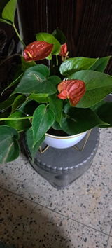 test test review photo