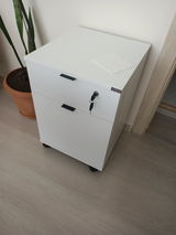 Alin Lungu review photo
