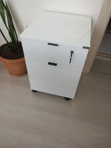 Alin Lungu review photo