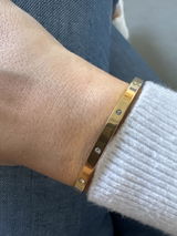 Semija Dervisevic review photo