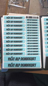 Dilek D. review photo