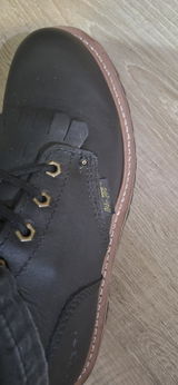 Steven Wells review photo