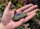 Anthony R. review photo