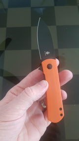 David D. review photo