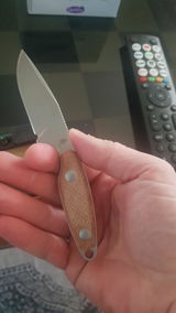 David D. review photo