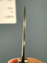 Alexander M. review photo