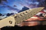 Van K.P. review photo
