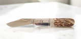 Sheryl S. review photo