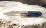 Peter S. review photo