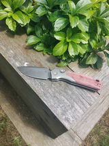 Scott M. review photo