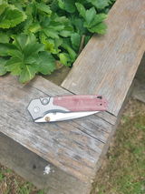 Scott M. review photo