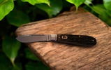 Peter S. review photo