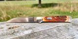 Peter S. review photo