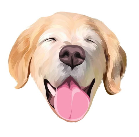 애기코야