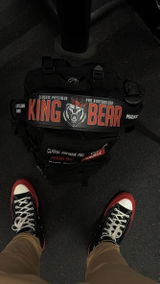 Bear review photo