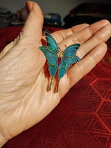 Etsy customer review photo