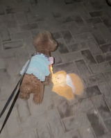 Maxdogmom review photo
