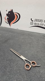 Olga L. review photo
