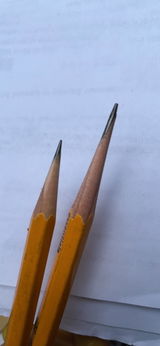 LillyS review photo