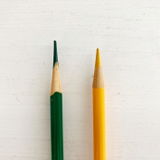 gentech review photo
