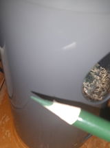 Justiney review photo