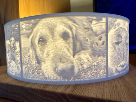 Halo Grande | Canvas Only